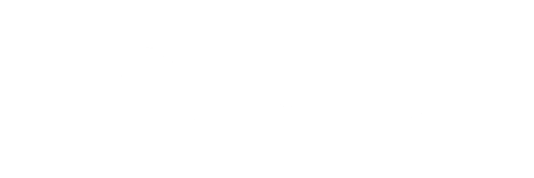Ponturo