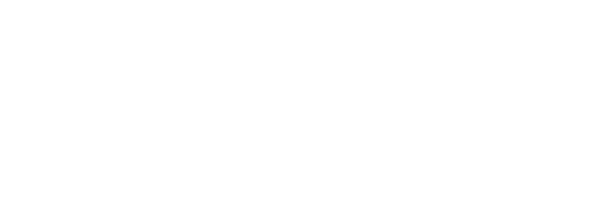 Vicus