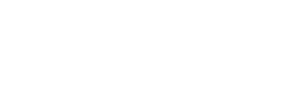 Z Partner