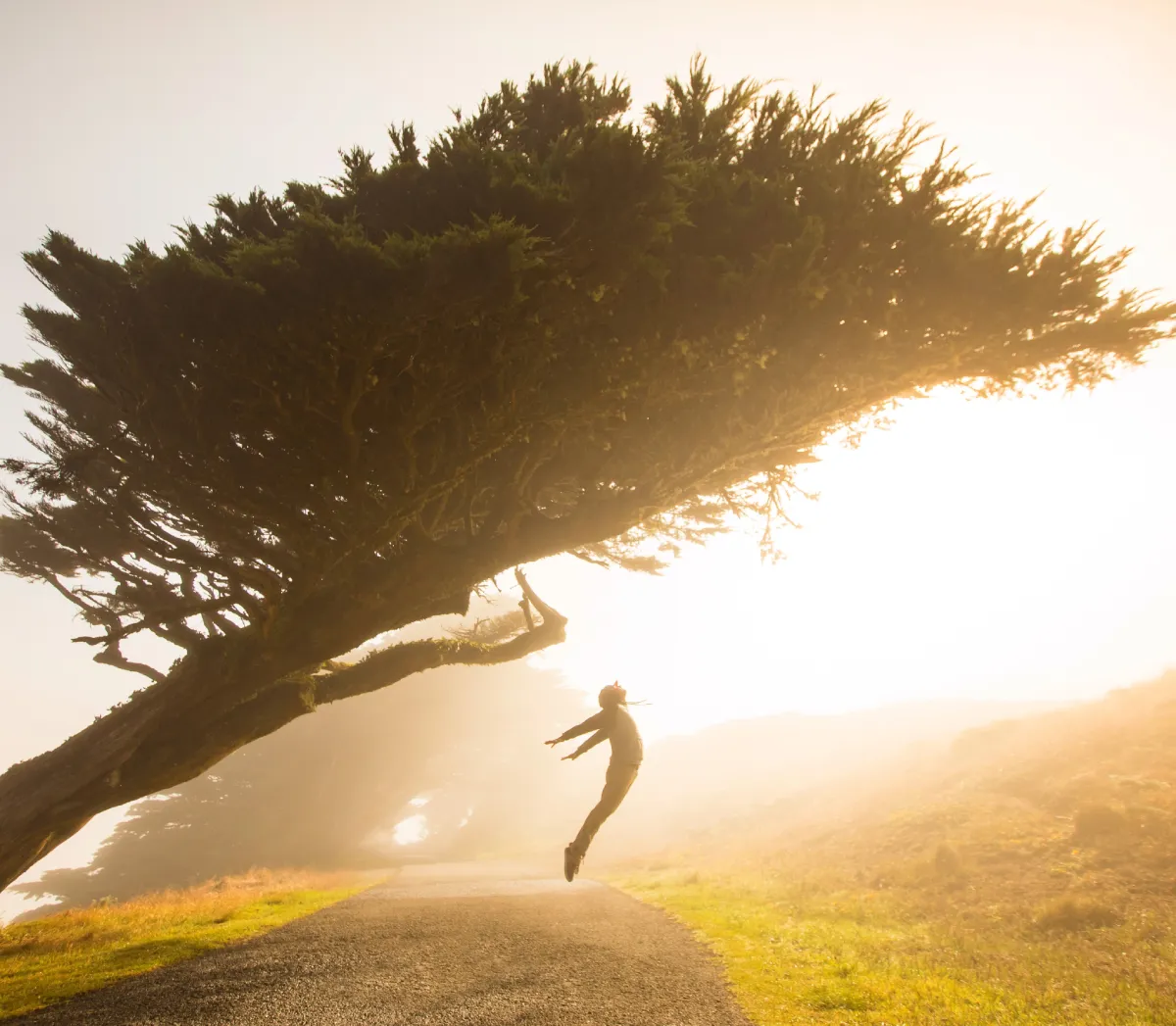Agencia-de-Incentivos-Mallorca-Agencias-de-Incentivos-2