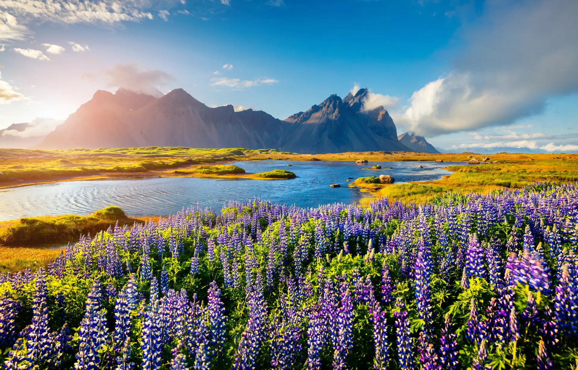 Destination-Island-35