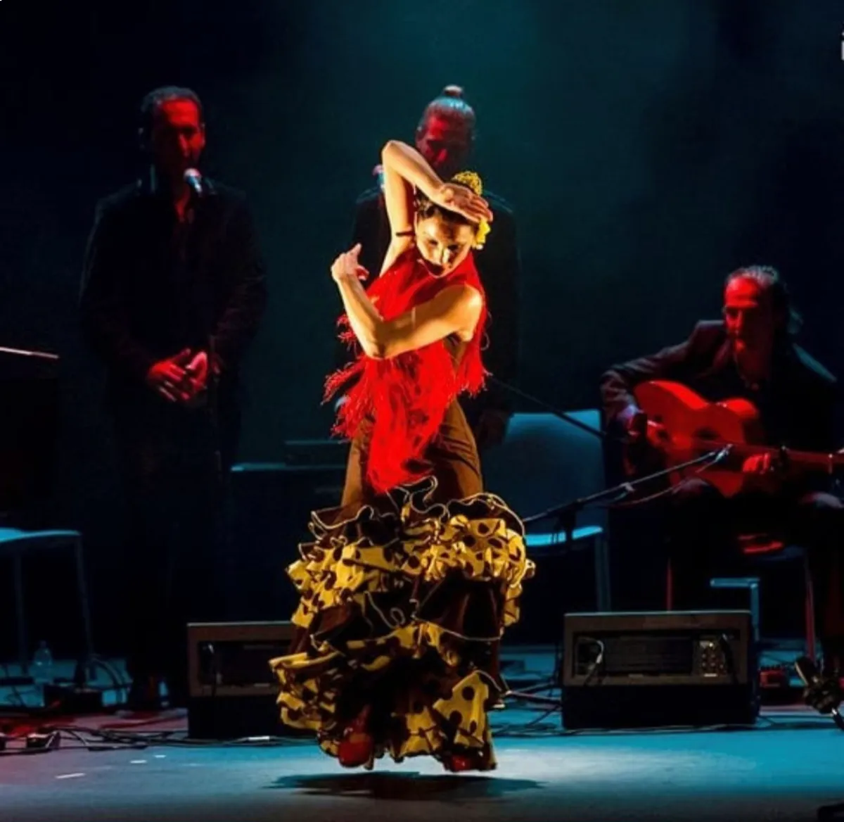 Flamenco Show