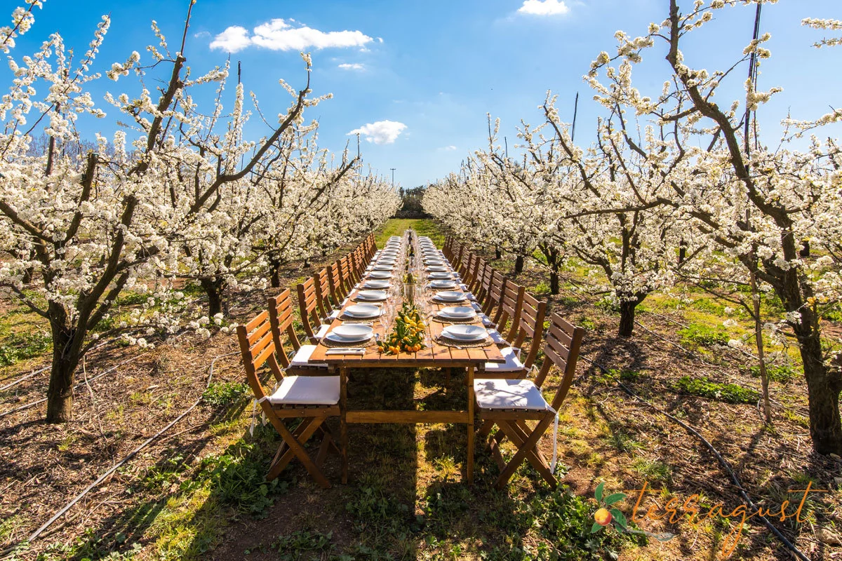 Essen in der Natur