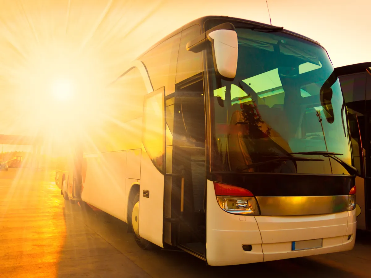 Transfer Service